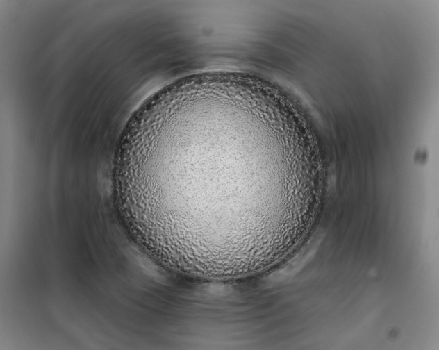 X0000101151409200807110955