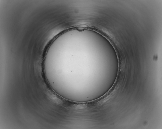 X0000101151410200807110955