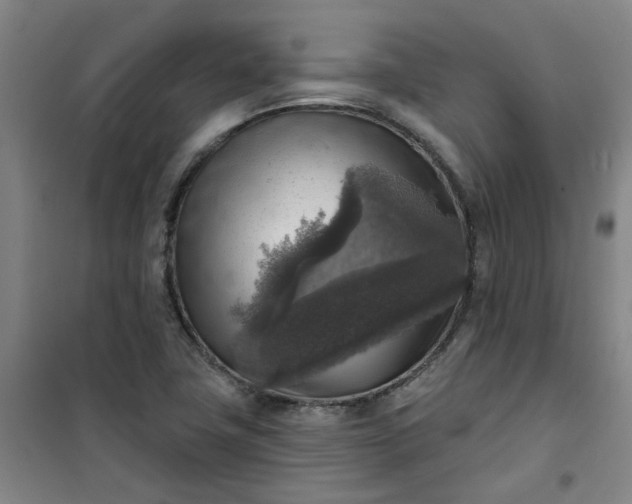 X0000101151411200807110955