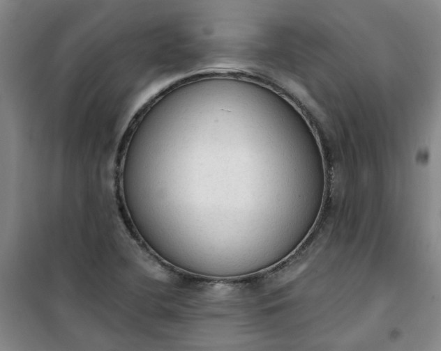 X0000101151412200807110955