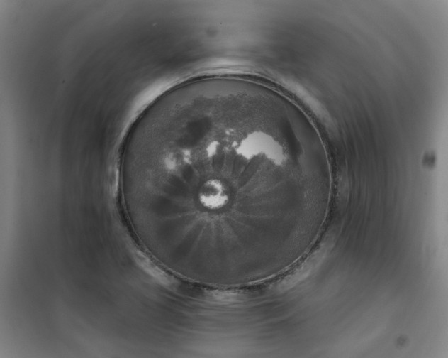 X0000101151413200807110955