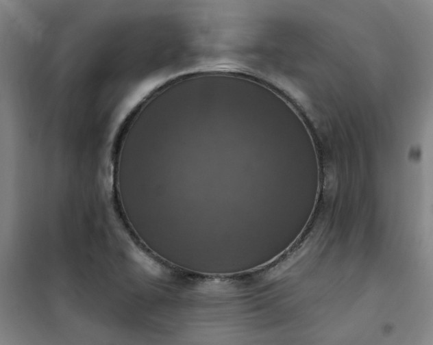 X0000101151414200807110955