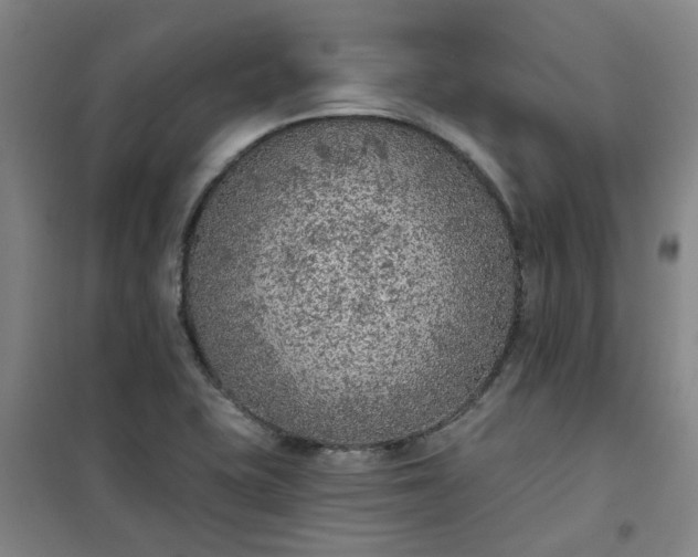 X0000101151415200807110955