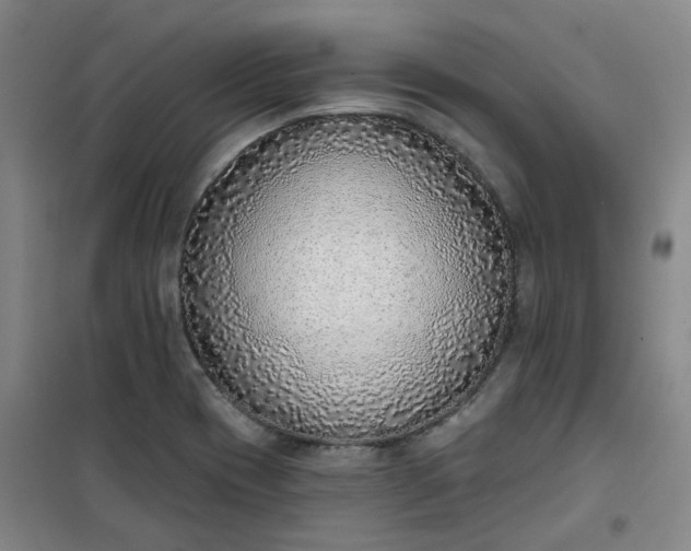 X0000101151417200807110955