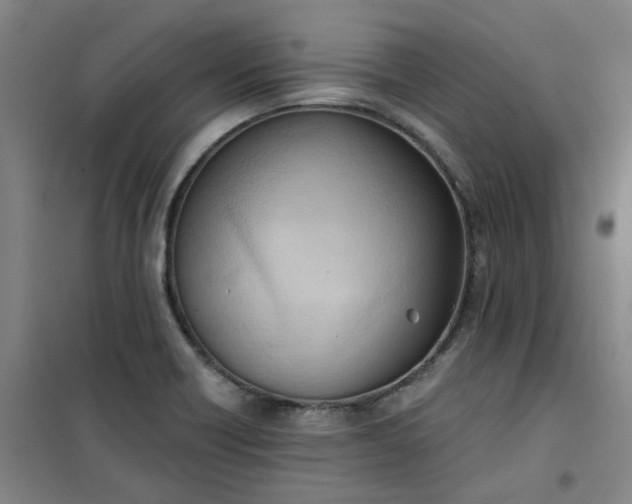 X0000101151418200807110955