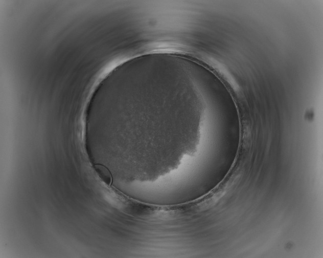 X0000101151419200807110955