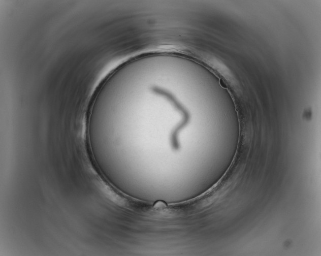 X0000101151420200807110955