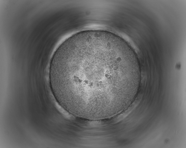 X0000101151421200807110955