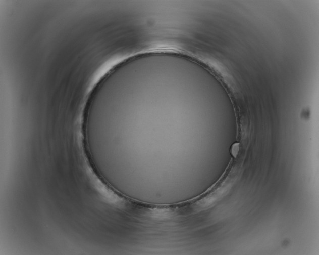 X0000101151422200807110955