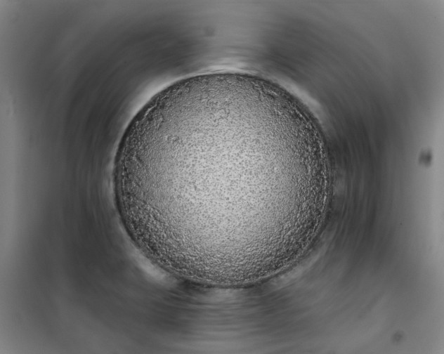 X0000101151423200807110955