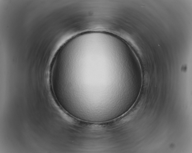 X0000101151424200807110955