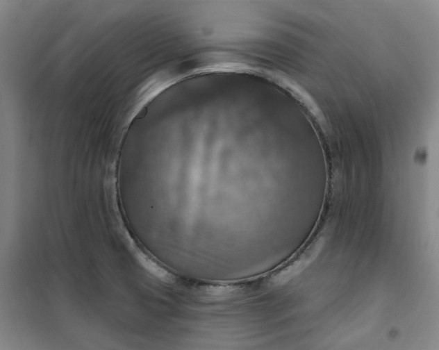 X0000101151425200807110955