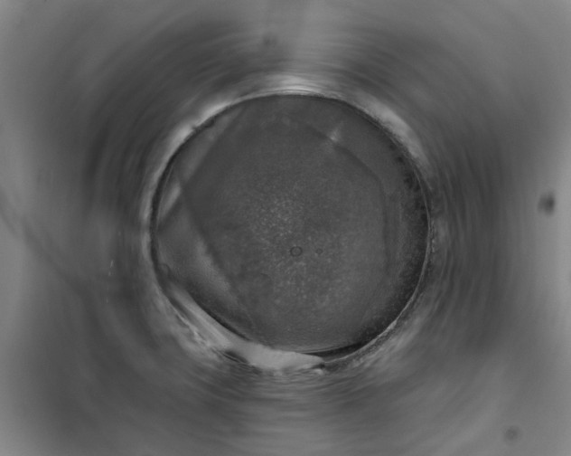 X0000101151427200807110955