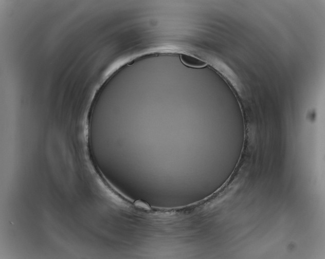 X0000101151428200807110955