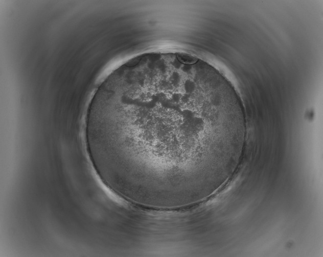 X0000101151429200807110955