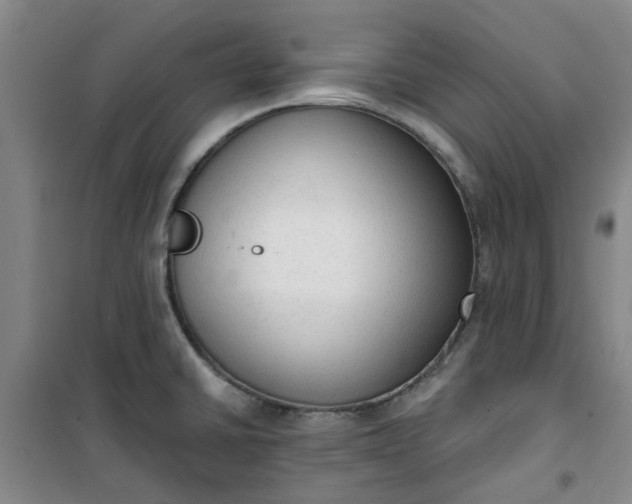 X0000101151430200807110955