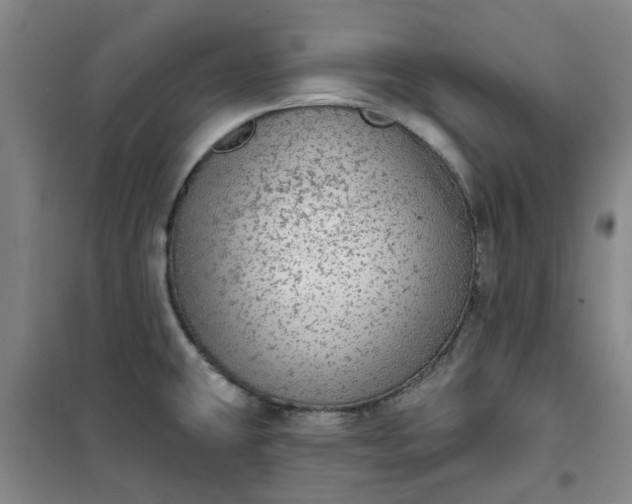 X0000101151431200807110955