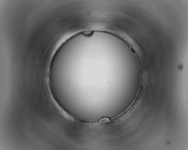 X0000101151432200807110955