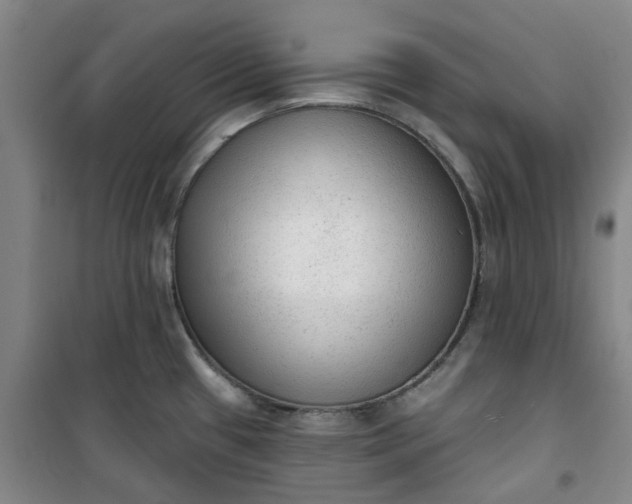 X0000101151433200807110955