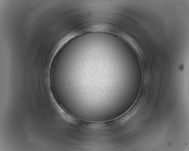 X0000101151434200807110955