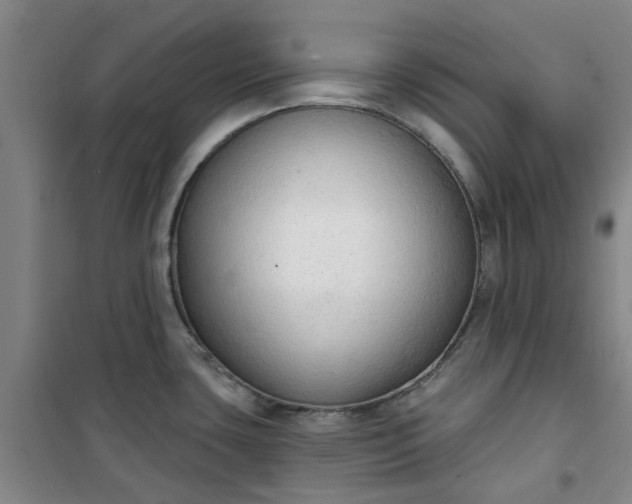 X0000101151435200807110955