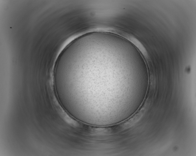 X0000101151436200807110955