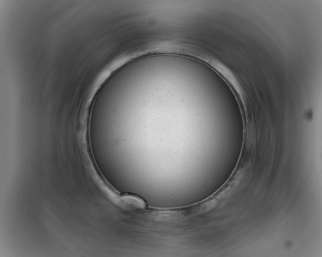 X0000101151437200807110955