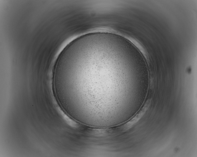 X0000101151438200807110955