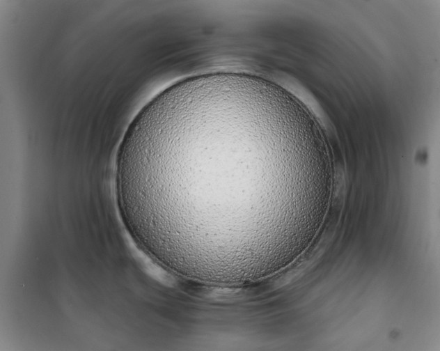 X0000101151439200807110955