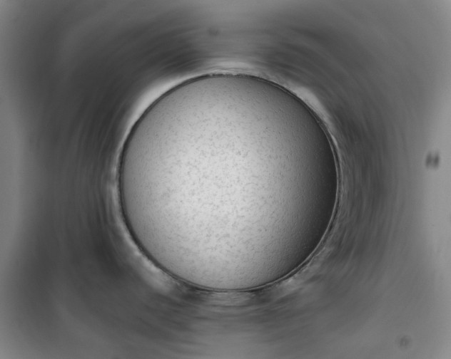 X0000101151440200807110955