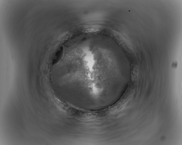 X0000101151441200807110955