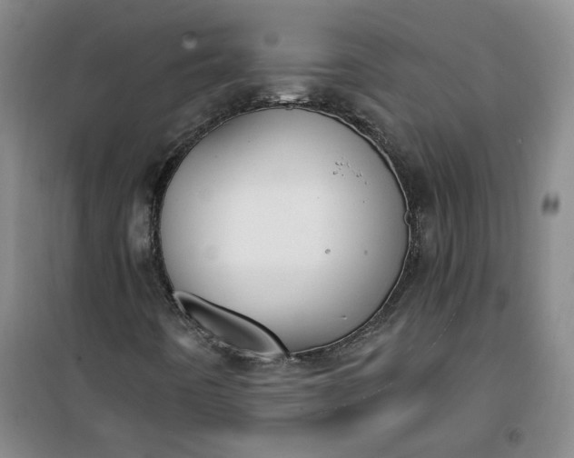 X0000101151442200807110955