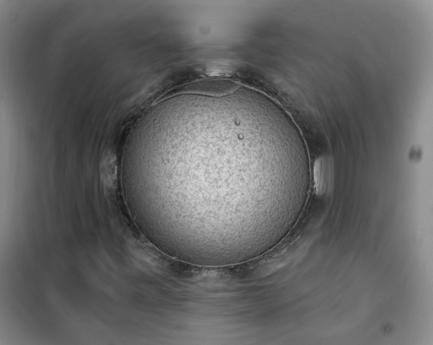 X0000101151443200807110955