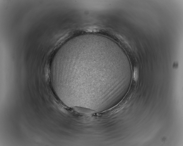 X0000101151444200807110955