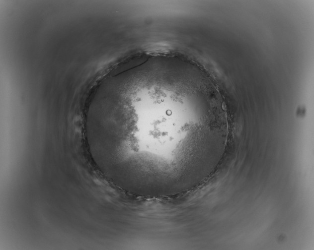 X0000101151445200807110955