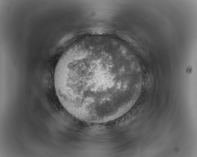 X0000101151446200807110955