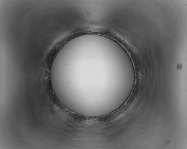 X0000101151447200807110955