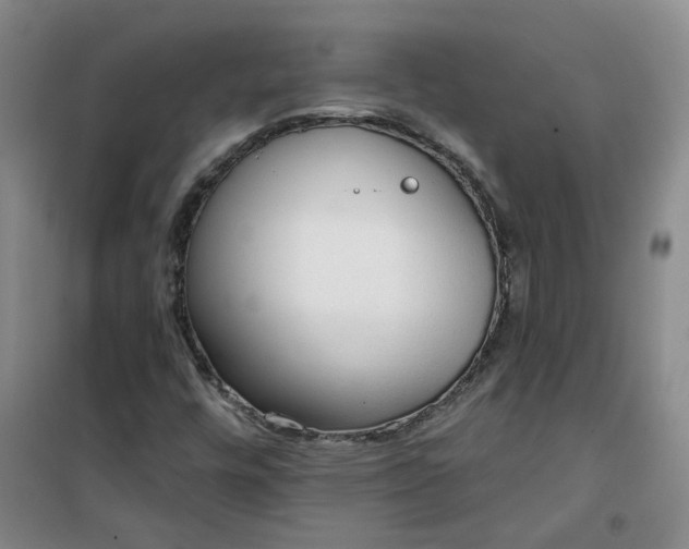 X0000101151448200807110955