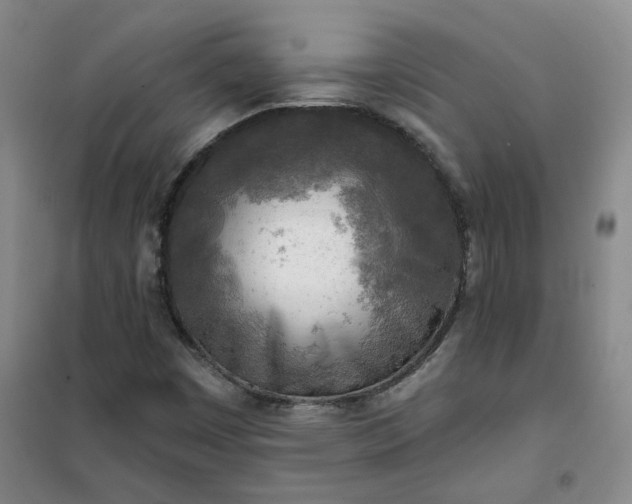 X0000101151449200807110955