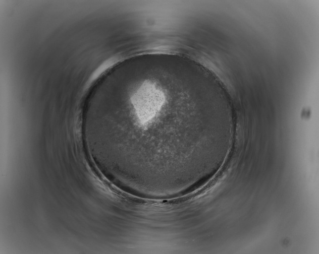 X0000101151450200807110955