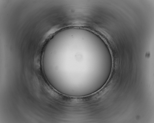 X0000101151451200807110955