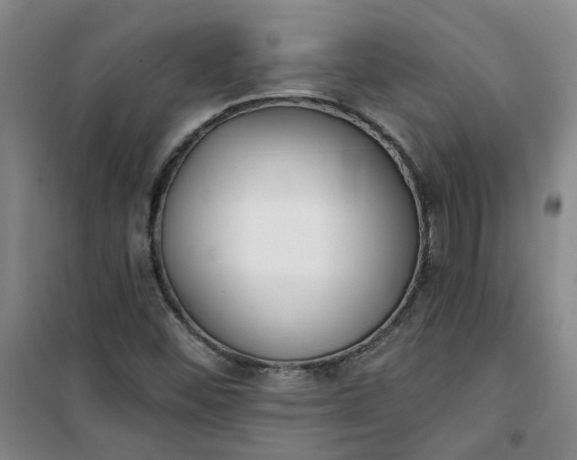 X0000101151452200807110955