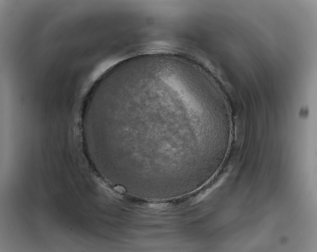 X0000101151453200807110955