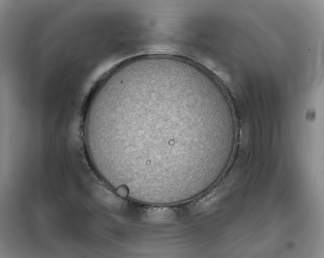 X0000101151454200807110955