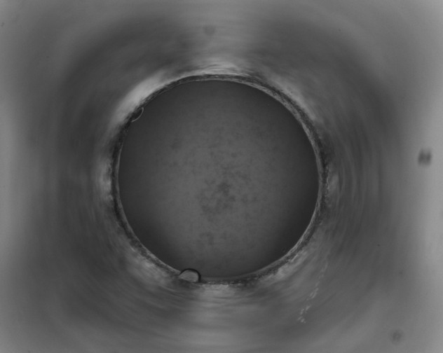 X0000101151455200807110955