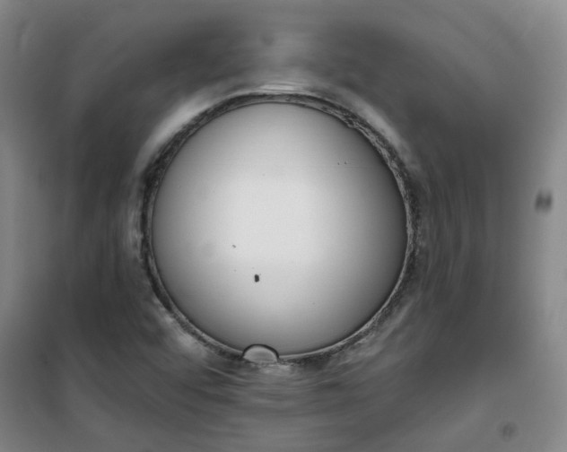 X0000101151456200807110955