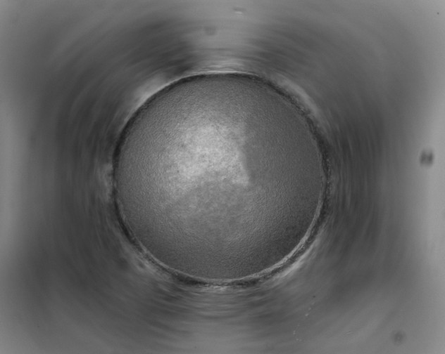 X0000101151457200807110955