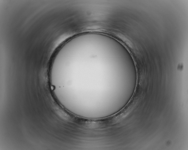 X0000101151458200807110954