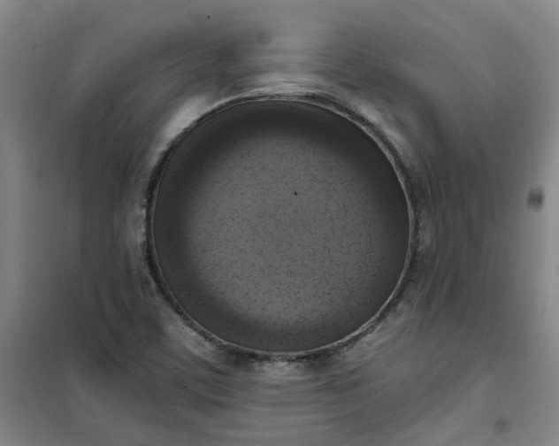 X0000101151459200807110954