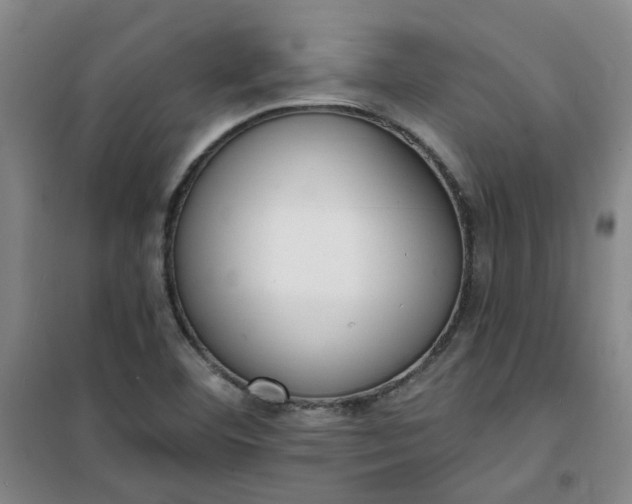 X0000101151460200807110954